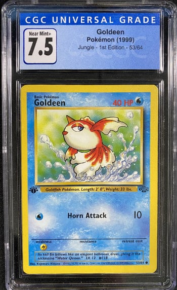 Goldeen