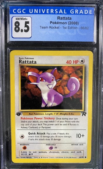 Rattata