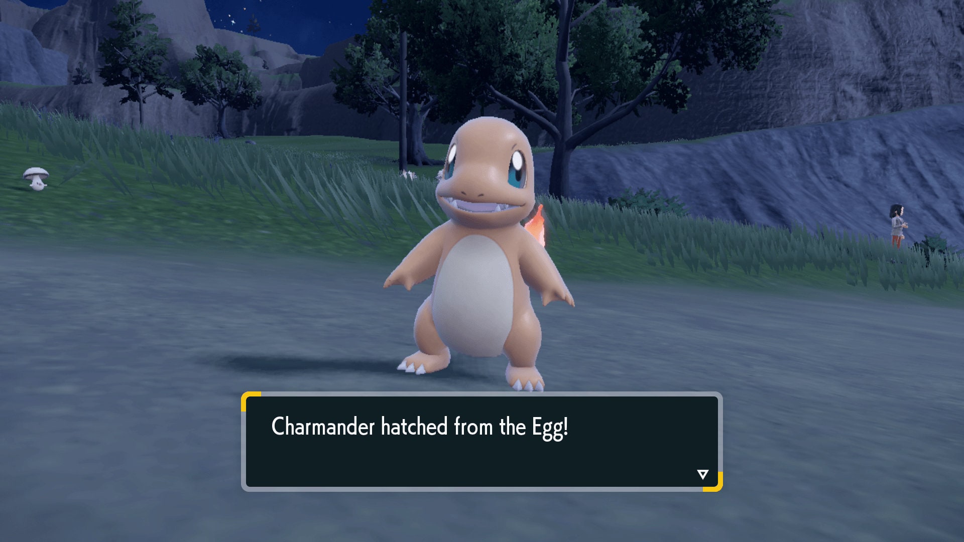 Charmander Eggs in Pokémon Scarlet and Violet